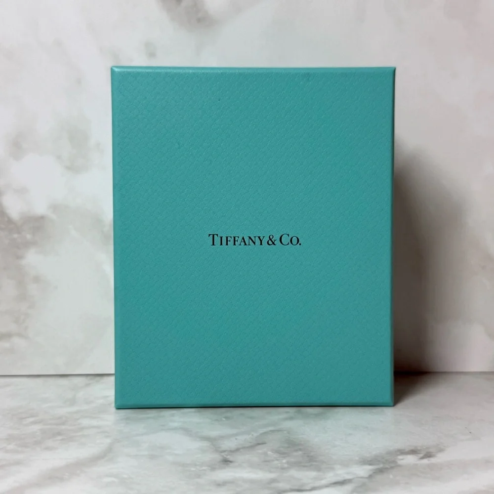 Tiffany & Co. | Earring Jewelry Box w/ Storage Box | Minty Cyan Hue